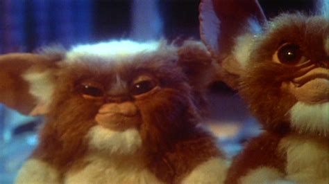 Mogwai Gremlins Wiki Fandom Powered By Wikia