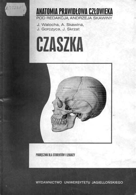 A Skawina Czaszka Anatomia Techniki Dentystyczne Studocu