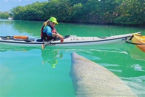 Tripadvisor | Manatee Photo Safari e Miami Kayak con Paddle Board Tour
