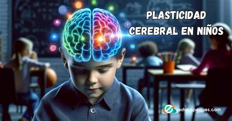 Plasticidad Cerebral En Ni Os Claves Del Desarrollo