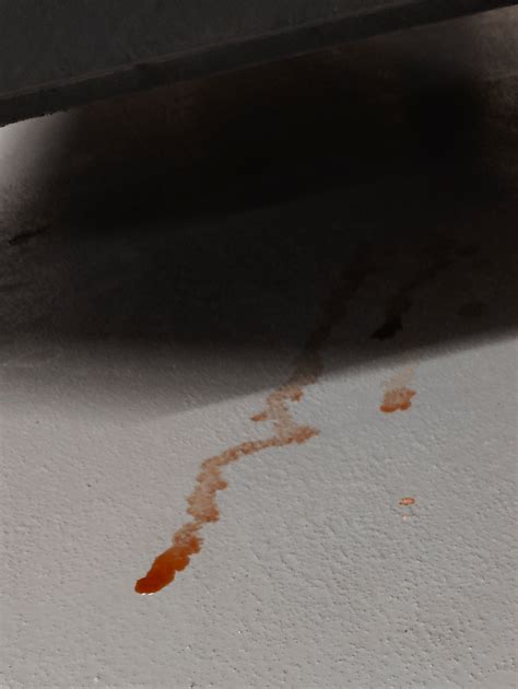 Greasy orange-brown fluid under car : r/Tiguan