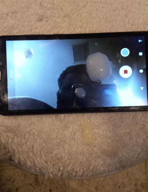 Thumbnail For Masturbated Right By Toilet Seat In Point 2 Nude Pics XHamster