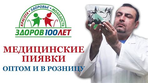 Медицинские пиявки. Лечебные пиявки купить. - YouTube