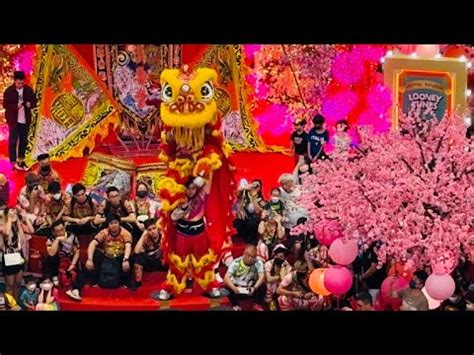 4K60FPS Opening Chinese New Year Lion Dance Performance 2023