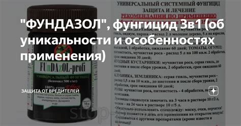 "ФУНДАЗОЛ", фунгицид 3в1 (об уникальности и особенностях применения ...