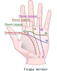 Линии - Гадание по руке на orakul.com