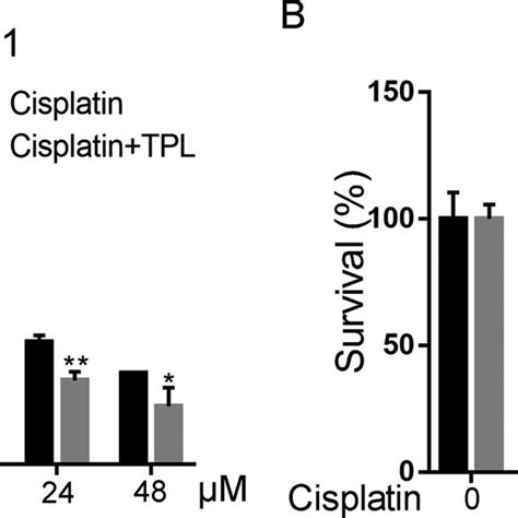 Triptolide Sensitizes Mda Mb And Bt Cells To Cisplatin A