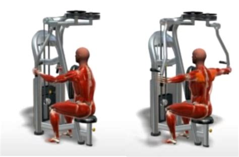 Machine Rear Deltoid Fly • Bodybuilding Wizard