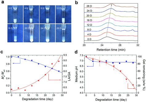Degradation Of 20 Wt Plga Peg Plga Thermogel In Pbs A Photographs