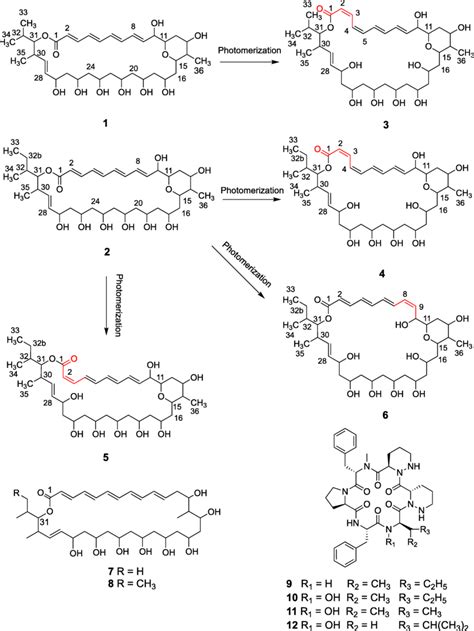structure  isolated polyenes   cyclic peptides
