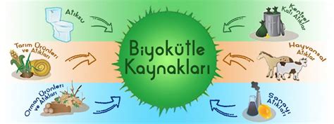 Biyokütle Enerjisi Nedir Biyokütle Enerjisi Nasıl Elde Edilir