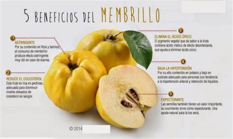 ClubGrupoRadioLive: Membrillo, fruta digestiva y astringente