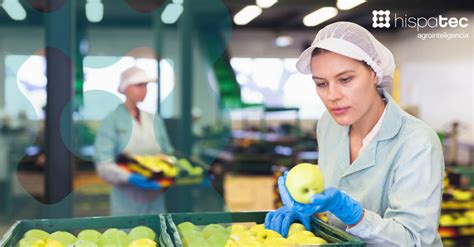 Checkpoint Control De Calidad De Los Procesos Agroalimentarios