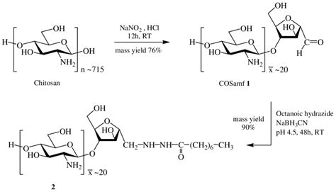 Scheme 1. Synthesis of octanoic acid-linked... | Download Scientific ...