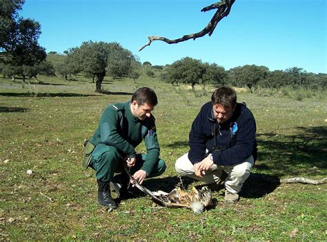 Guardianes De La Naturaleza Contra El Crimen Ambiental Qu Lleva A