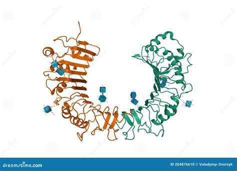 Cd14 Stock Illustrations – 3 Cd14 Stock Illustrations, Vectors ...