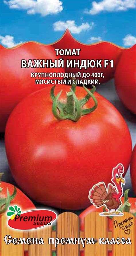 ТОМАТЫ — Семена для Сибири