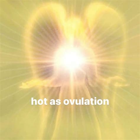 its hot as ovulation Fotos chistosas para whatsapp Imágenes divertidas Humor de la vida