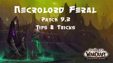 Necrolord Feral Pvp Tips Tricks How To Burst As A Necro Feral Youtube