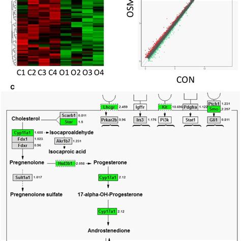 Rnaseq Analysis Between Oncostatin M Osm O And The Control C