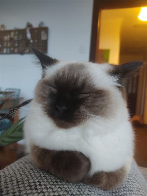 Best Matilda Images On Pholder Tank Porn Imaginary Monster Girls And Movie Details