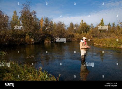 Artic Grayling High Resolution Stock Photography And Images Alamy