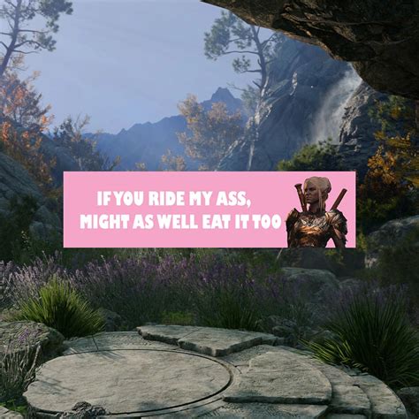 Ride My Ass Minthara Baldur S Gate Bumper Sticker Bg Meme Sticker Car Decal Funny Meme Dnd