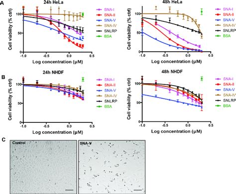 Dose Response Curve Of The Effect Of S Nigra Proteins On Hela And Nhdf