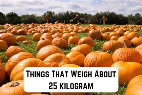 9 Common Things That Weigh 25 Kilograms (+Pics) | Measuringly