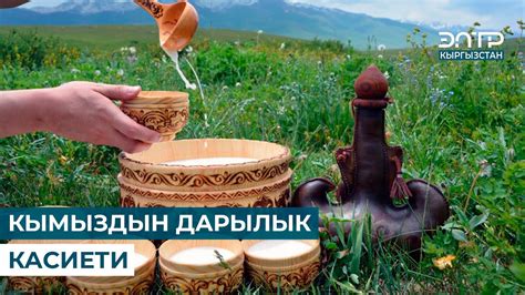 КЫМЫЗДЫН ДАРЫЛЫК КАСИЕТИ // МУРАС САБАТЫ - YouTube
