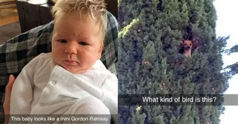 14 Snaps You Can Never Unsee