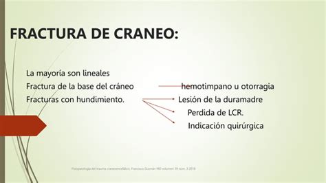 LesiÓn Cerebral TraumÁtica 1 Pptx