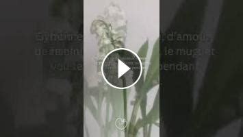 Le Muguet Symbole Et Signification Feng Shui