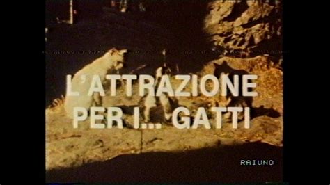 Il Mondo Di Quark L Attrazione Per I Gatti 26 04 1988 YouTube