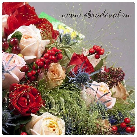 Доброго утра и хорошего настроения! #розы #душистыерозы #анджиромантика ...