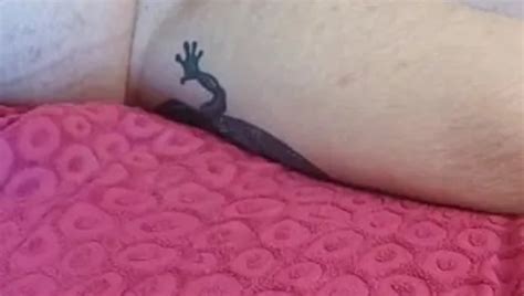 Amateur Bear Masturbates And Cum Watching Porn Gay Porn Feat Nordik XHamster