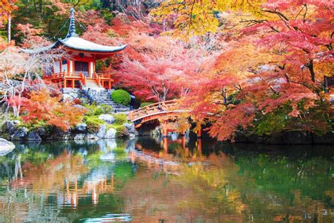 daigo ji temple  colorful maple trees  autumn kyoto japa
