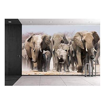 Large Herd of Elephants Approachin... - Wall Murals