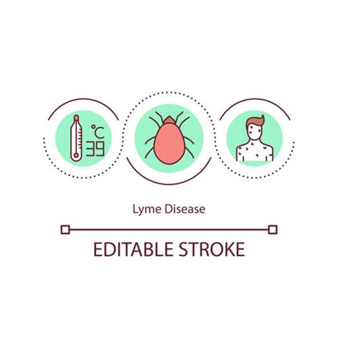 Lyme Disease Illustrations Royalty Free Vector Graphics And Clip Art Istock