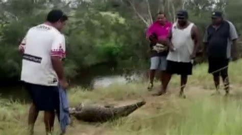 Crocodile Bites Off Woman S Arm In Death Roll Fox News