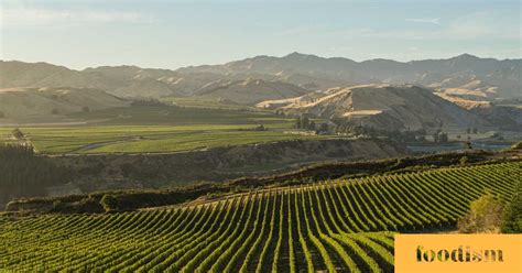Villa Maria New Zealands Iconic Winemaker Foodism