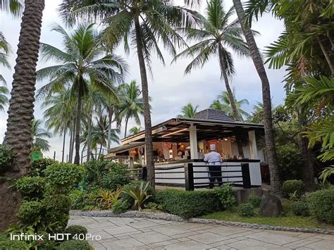 Infinix Hot Pro Review Free Fire Edition Budget Gaming Royalty