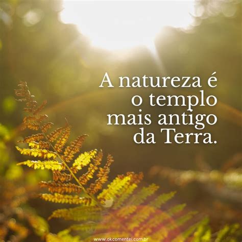 Frases Da Natureza Curtas - 71 frases sobre natureza para celebrar a beleza do mundo natural