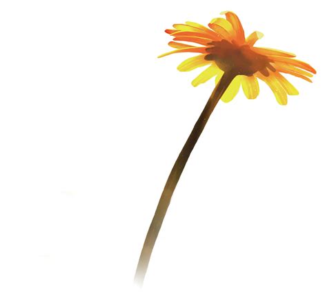 Users are arguing about my lifeway redeem rules and gift options 12