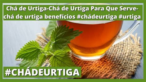 Chá de Urtiga Chá de Urtiga Para Que Serve chá de urtiga benefícios