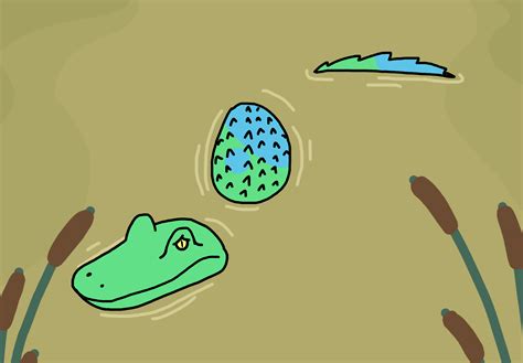 Alligator By Specjects On Deviantart