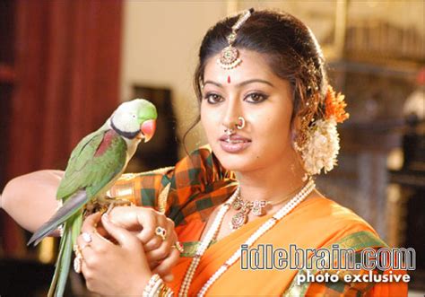 Sriramadasu - Telugu cinema Photo Gallery - Nagarjuna, Sneha