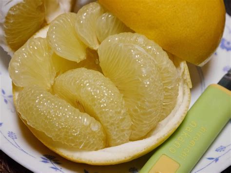 Памела фрукт - фото и картинки: 62 штук