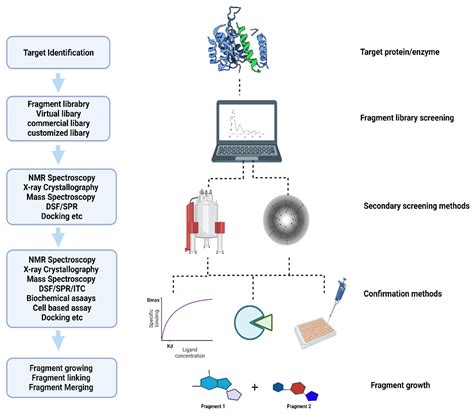 Fragment Based Drug Discovery Against Mycobacteria Encyclopedia MDPI