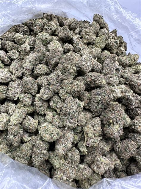 ALASKAN THUNDER FUCK INDOOR Hemp House